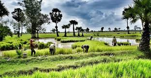 22 Days Hanoi Cycling to Luang Prabang and to Chiang Mai